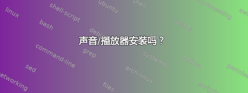 声音/播放器安装吗？