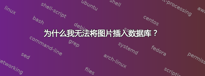 为什么我无法将图片插入数据库？