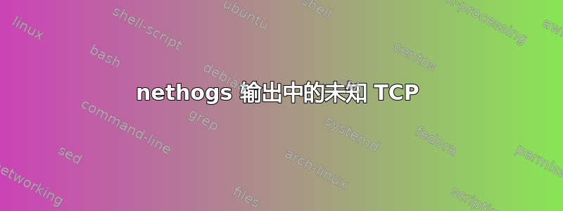 nethogs 输出中的未知 TCP