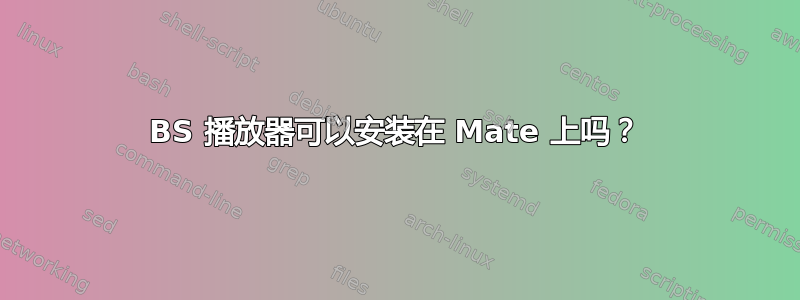 BS 播放器可以安装在 Mate 上吗？