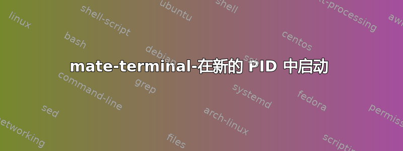 mate-terminal-在新的 PID 中启动