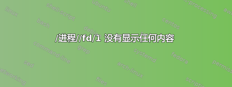 /进程//fd/1 没有显示任何内容