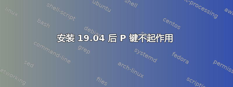 安装 19.04 后 P 键不起作用