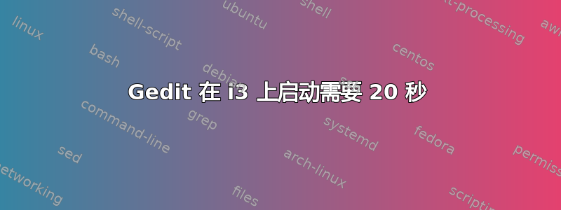 Gedit 在 i3 上启动需要 20 秒