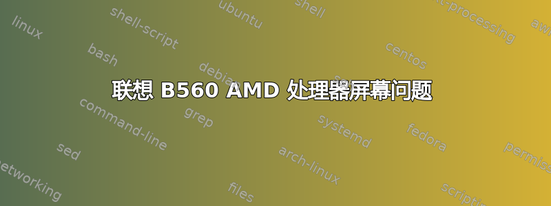 联想 B560 AMD 处理器屏幕问题