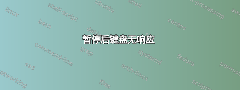 暂停后键盘无响应