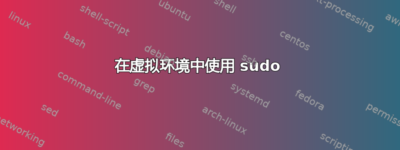 在虚拟环境中使用 sudo