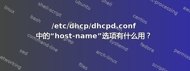 /etc/dhcp/dhcpd.conf 中的“host-name”选项有什么用？