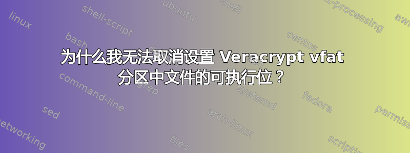 为什么我无法取消设置 Veracrypt vfat 分区中文件的可执行位？