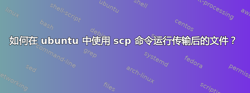 如何在 ubuntu 中使用 scp 命令运行传输后的文件？