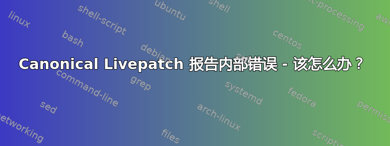 Canonical Livepatch 报告内部错误 - 该怎么办？