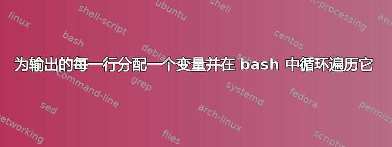 为输出的每一行分配一个变量并在 bash 中循环遍历它