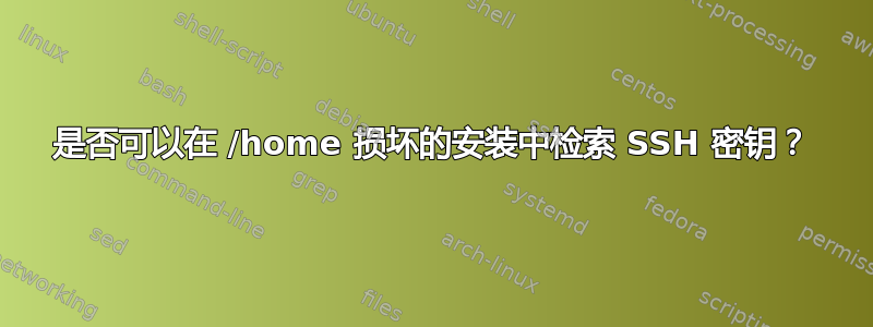 是否可以在 /home 损坏的安装中检索 SSH 密钥？