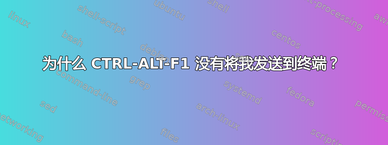 为什么 CTRL-ALT-F1 没有将我发送到终端？