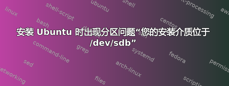 安装 Ubuntu 时出现分区问题“您的安装介质位于 /dev/sdb”