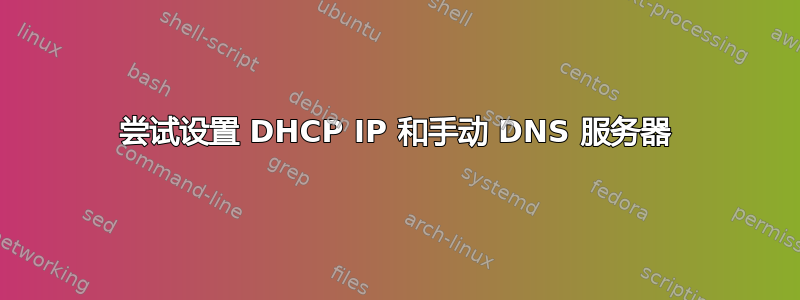 尝试设置 DHCP IP 和手动 DNS 服务器