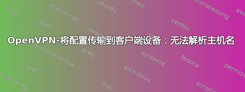 OpenVPN-将配置传输到客户端设备：无法解析主机名