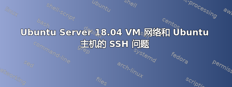 Ubuntu Server 18.04 VM 网络和 Ubuntu 主机的 SSH 问题