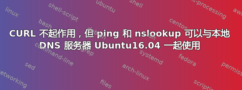 CURL 不起作用，但 ping 和 nslookup 可以与本地 DNS 服务器 Ubuntu16.04 一起使用