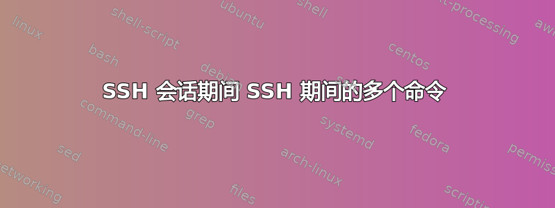 SSH 会话期间 SSH 期间的多个命令