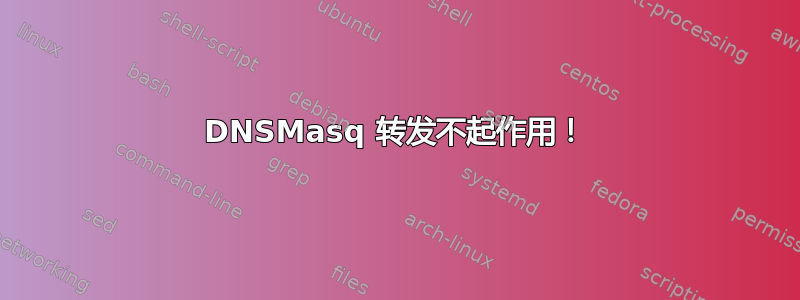 DNSMasq 转发不起作用！