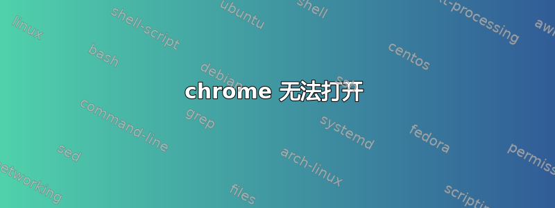 chrome 无法打开