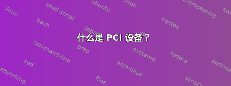 什么是 PCI 设备？