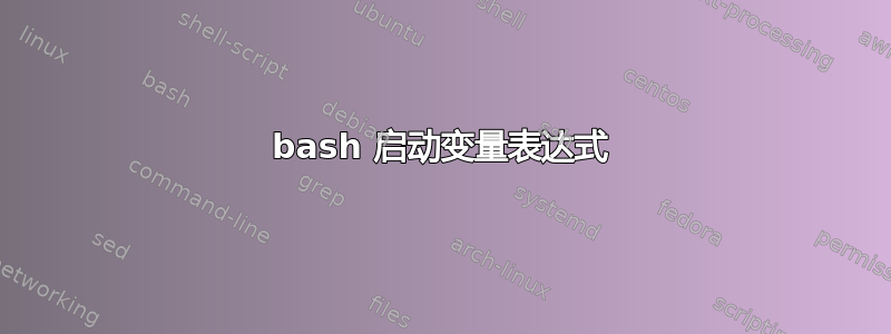 bash 启动变量表达式