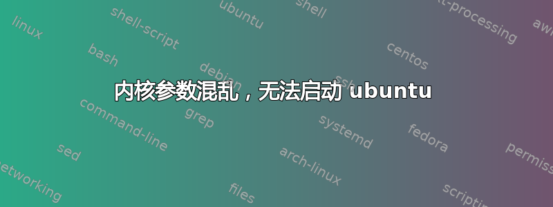 内核参数混乱，无法启动 ubuntu