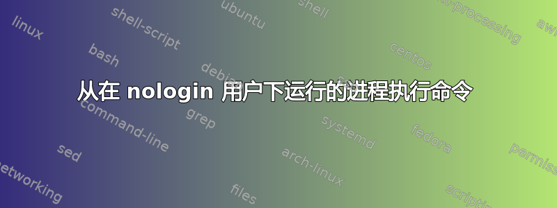 从在 nologin 用户下运行的进程执行命令