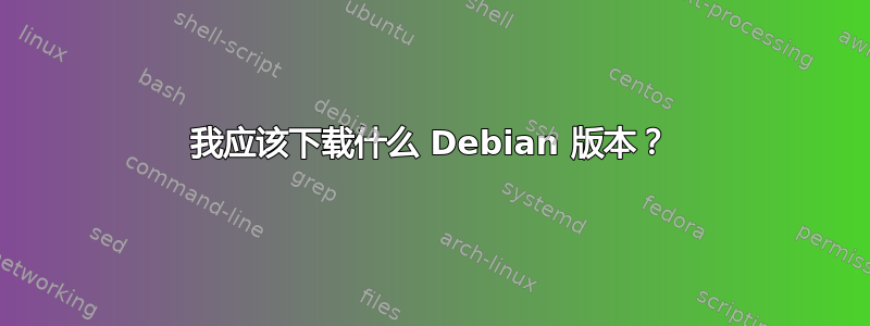 我应该下载什么 Debian 版本？