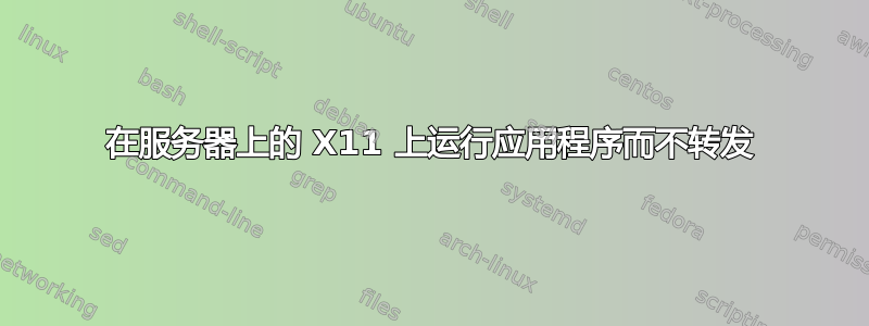 在服务器上的 X11 上运行应用程序而不转发