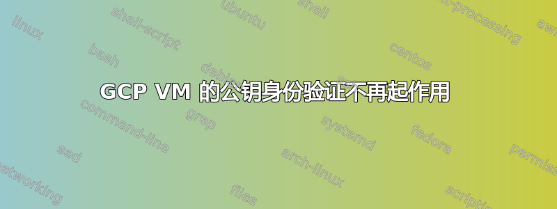 GCP VM 的公钥身份验证不再起作用