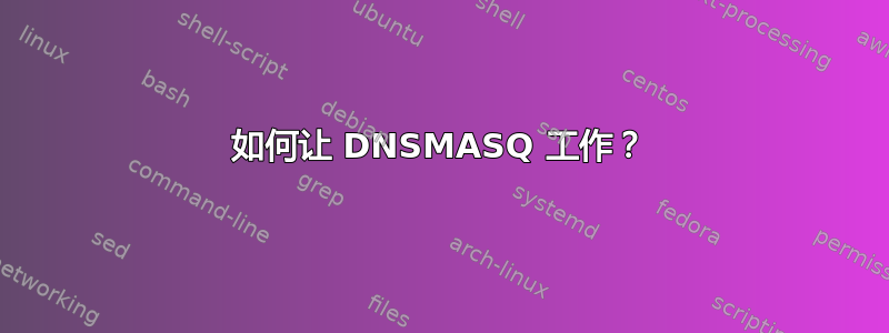 如何让 DNSMASQ 工作？