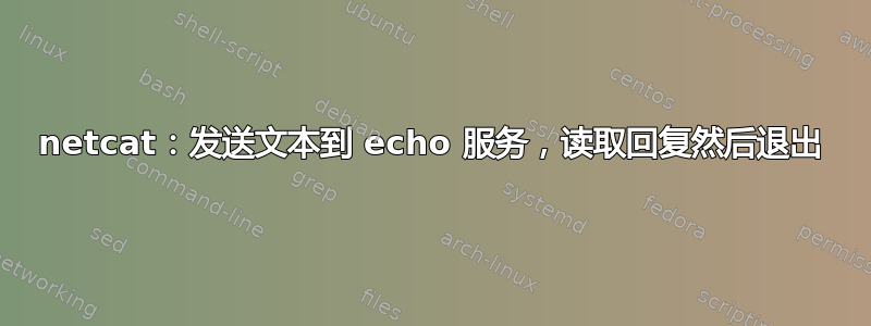 netcat：发送文本到 echo 服务，读取回复然后退出