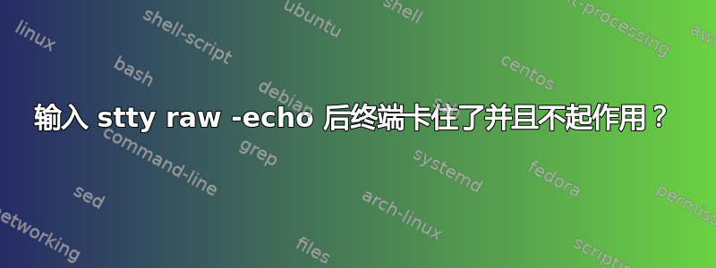 输入 stty raw -echo 后终端卡住了并且不起作用？