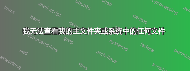 我无法查看我的主文件夹或系统中的任何文件