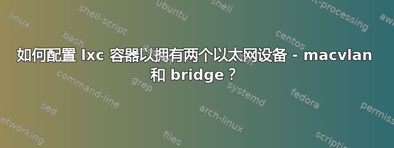 如何配置 lxc 容器以拥有两个以太网设备 - macvlan 和 bridge？