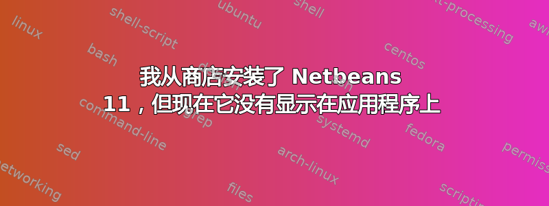 我从商店安装了 Netbeans 11，但现在它没有显示在应用程序上