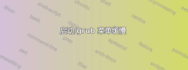 启动/grub 菜单缓慢