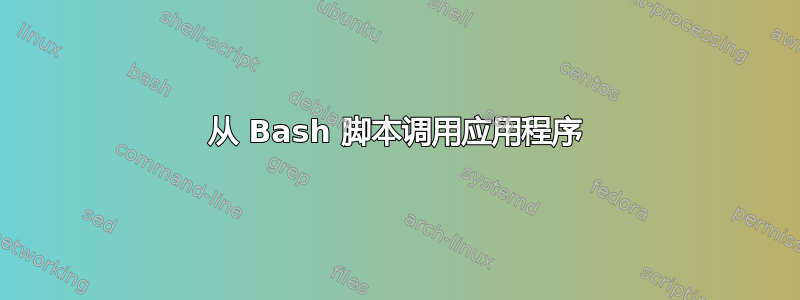 从 Bash 脚本调用应用程序