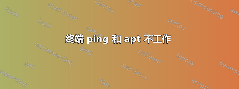 终端 ping 和 apt 不工作