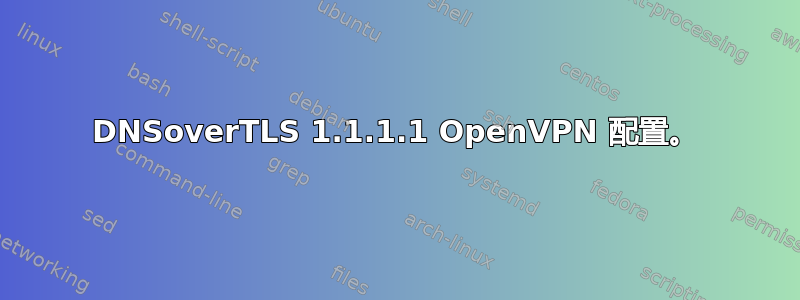 DNSoverTLS 1.1.1.1 OpenVPN 配置。