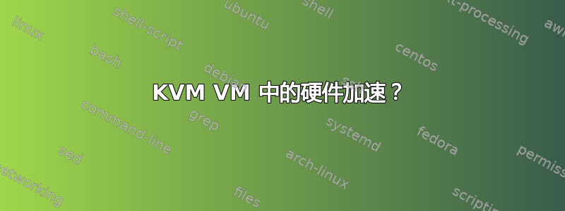 KVM VM 中的硬件加速？