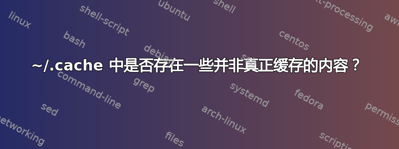 ~/.cache 中是否存在一些并非真正缓存的内容？