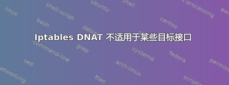 Iptables DNAT 不适用于某些目标接口