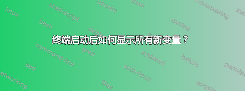 终端启动后如何显示所有新变量？