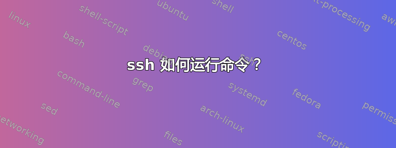 ssh 如何运行命令？