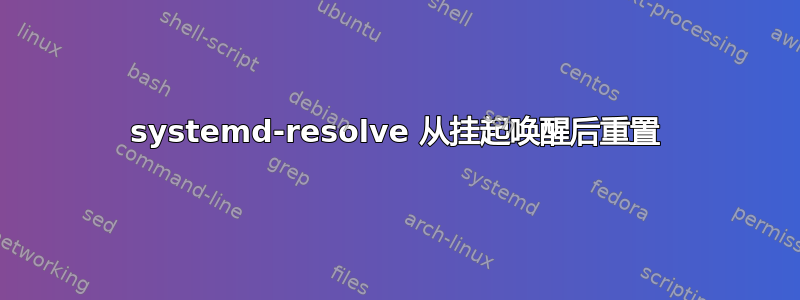 systemd-resolve 从挂起唤醒后重置