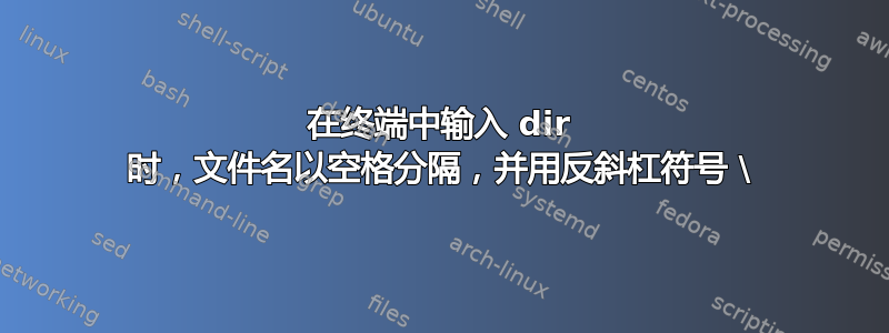 在终端中输入 dir 时，文件名以空格分隔，并用反斜杠符号 \